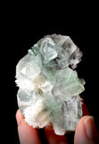 Green Apophyllite and Mordenite S9