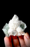 Green Apophyllite and Mordenite S10