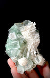 Green Apophyllite and Mordenite S11