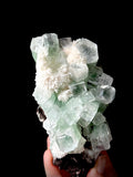 Green Apophyllite and Mordenite S6