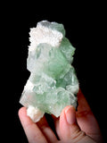 Green Apophyllite and Mordenite S2