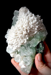 Green Apophyllite and Mordenite S4