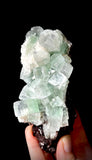 Green Apophyllite and Mordenite S6