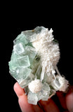 Green Apophyllite and Mordenite S11