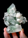 Green Apophyllite and Mordenite S1