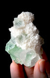 Green Apophyllite and Mordenite S12