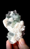 Green Apophyllite and Mordenite S5
