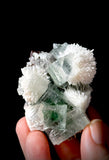 Green Apophyllite and Mordenite S15