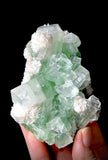 Green Apophyllite and Mordenite S3