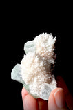 Green Apophyllite and Mordenite S8