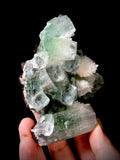 Green Apophyllite and Mordenite S1