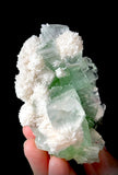 Green Apophyllite and Mordenite S3
