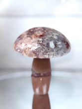 Pink Amethyst Mushroom A10097