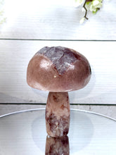 Pink Amethyst Mushroom A10096