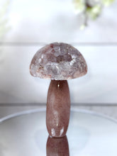 Pink Amethyst Mushroom A10078