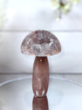 Pink Amethyst Mushroom A10078