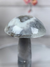 Brazilian Agate Mushroom A1101