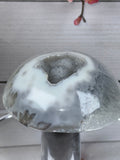 Brazilian Agate Mushroom A1101