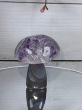 Brazilian Agate Mushroom A1103