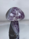 Brazilian Agate Mushroom A1105