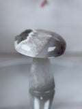 Brazilian Agate Mushroom A1108
