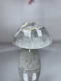 Brazilian Agate Mushroom A1110