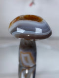Brazilian Agate Mushroom A1111