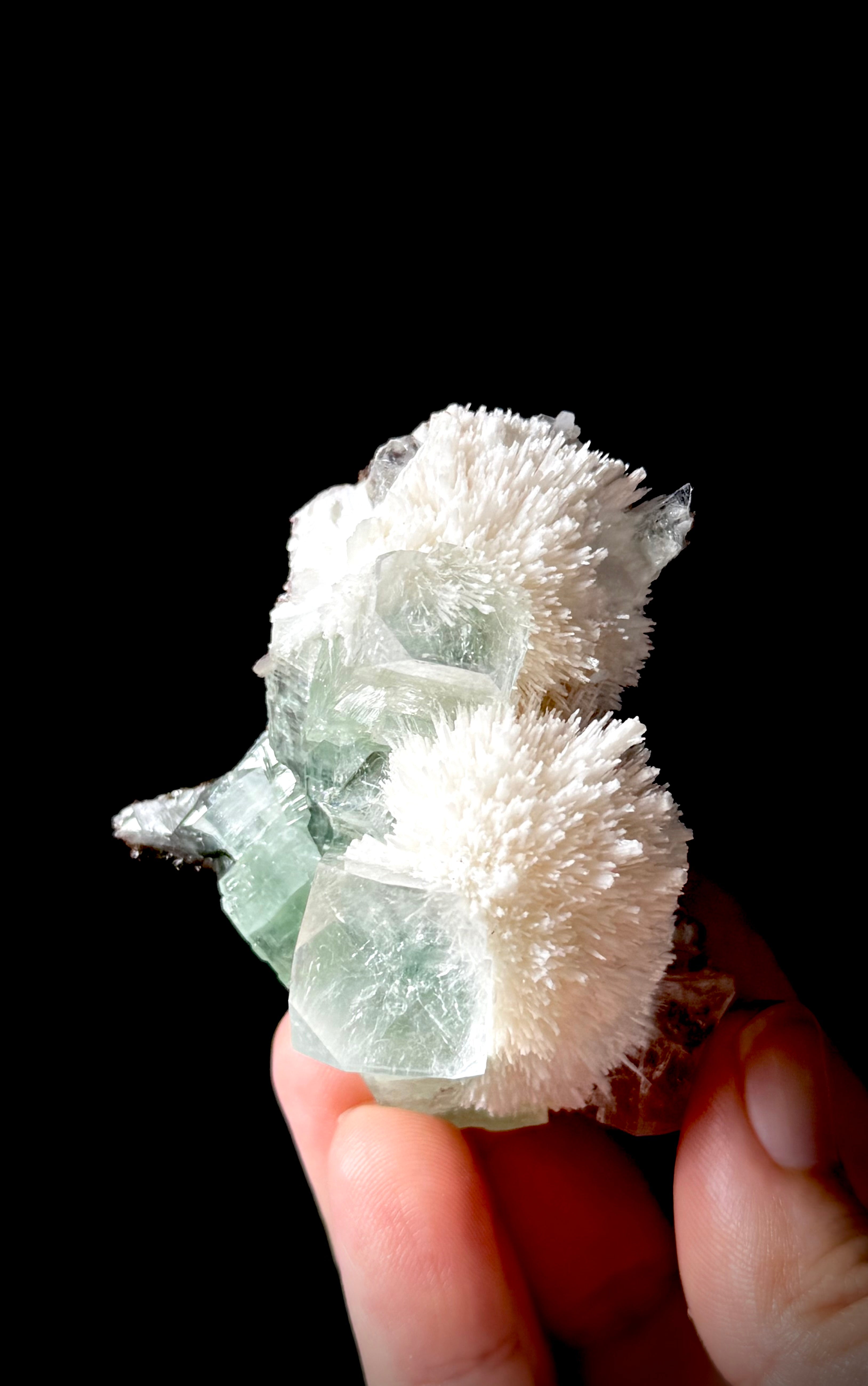 Green Apophyllite and Mordenite S8
