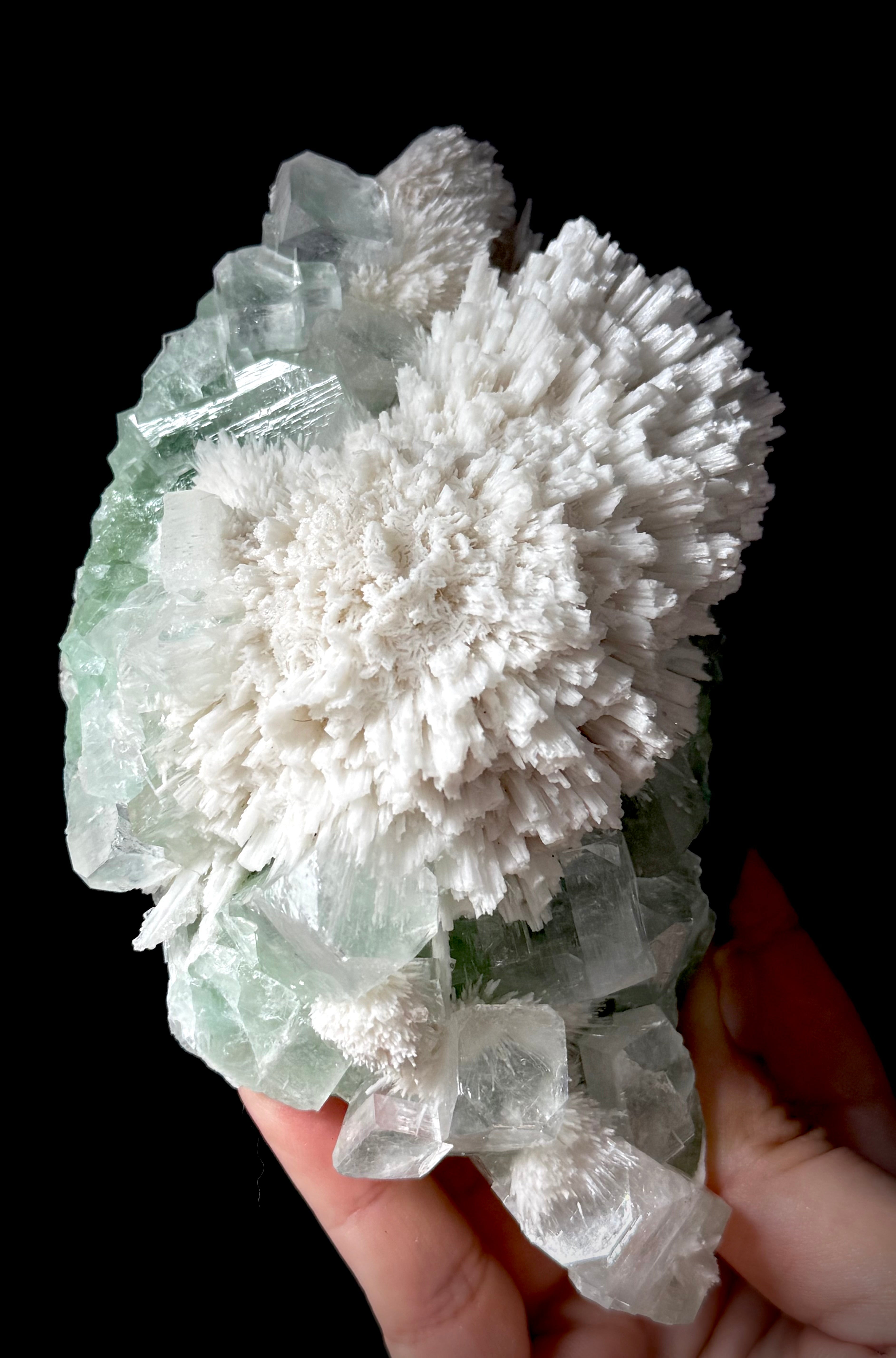 Green Apophyllite and Mordenite S4