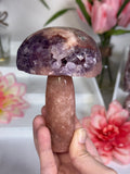 Pink Amethyst Mushroom A10048