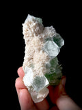 Green Apophyllite and Mordenite S2