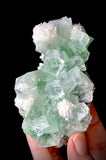 Green Apophyllite and Mordenite S3