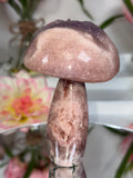 Pink Amethyst Mushroom A10057
