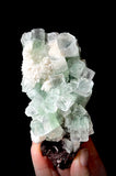 Green Apophyllite and Mordenite S6