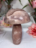 Pink Amethyst Mushroom A10050