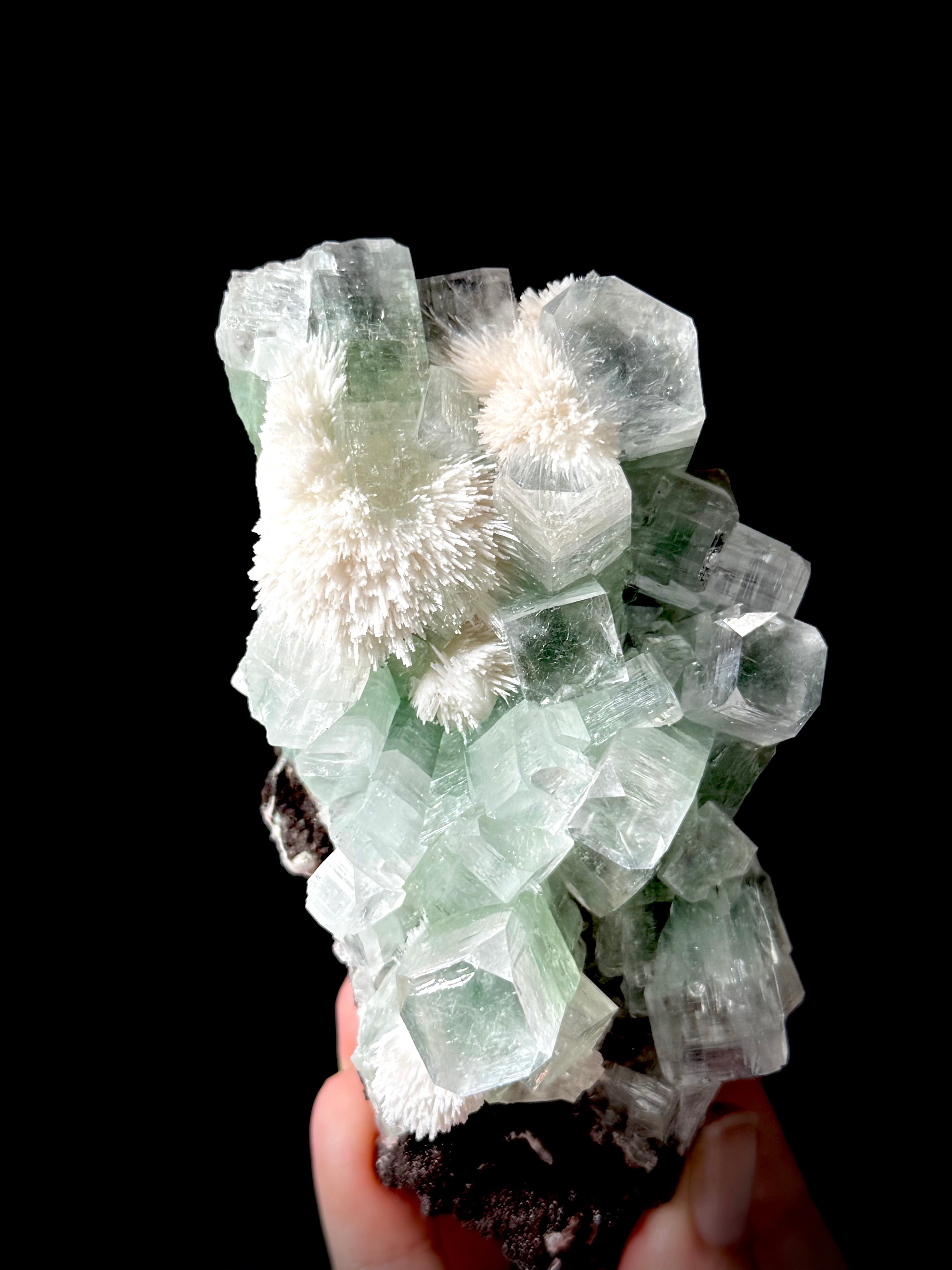 Green Apophyllite and Mordenite S6
