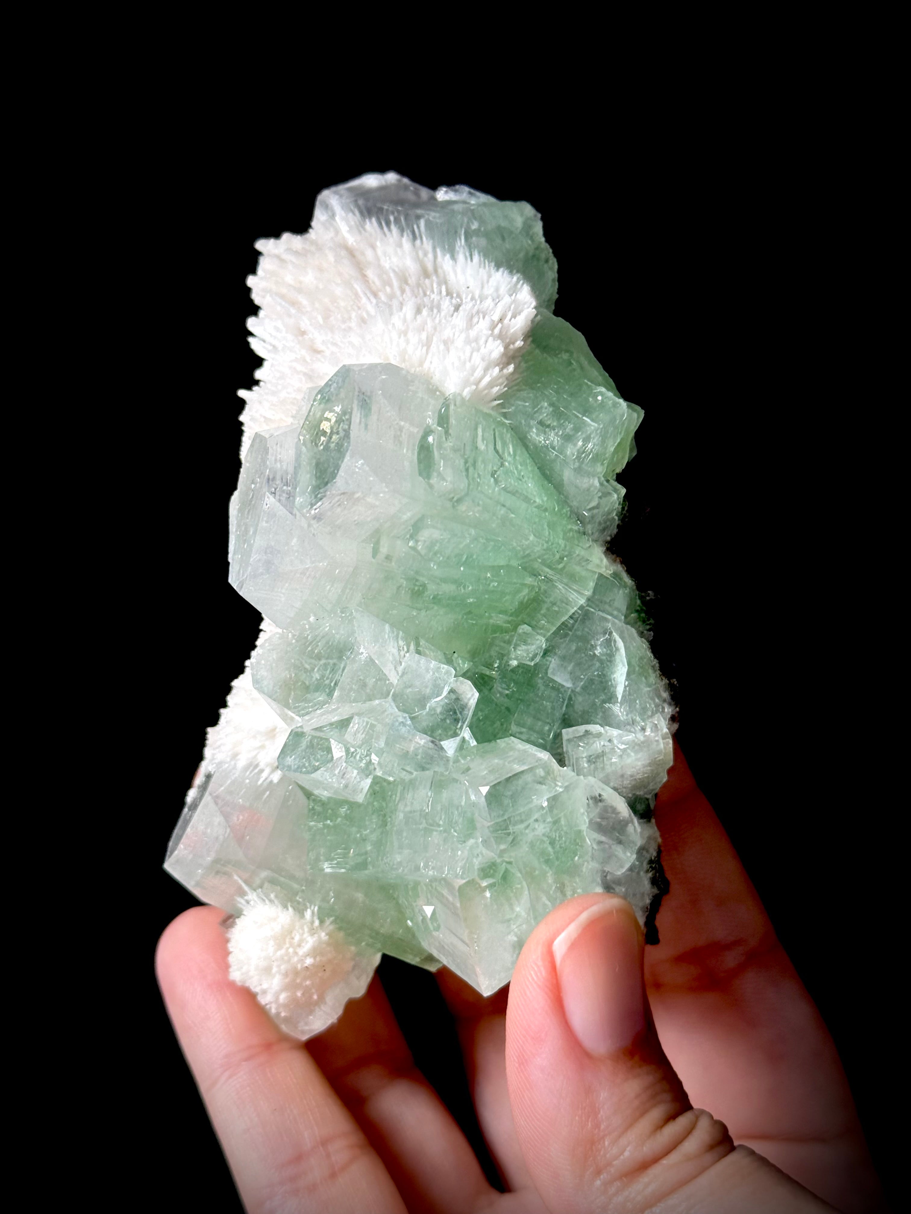 Green Apophyllite and Mordenite S2