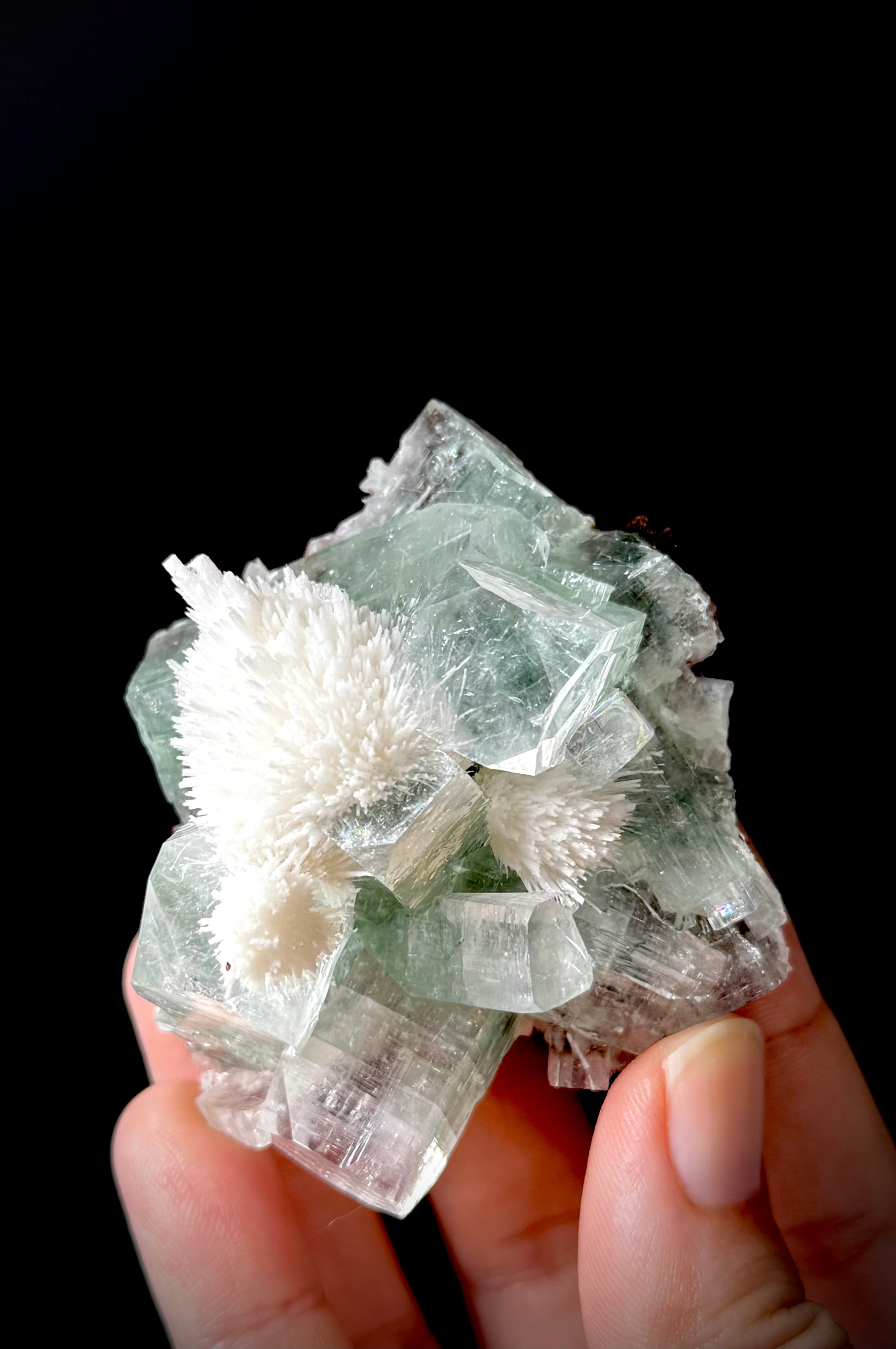 Green Apophyllite and Mordenite S13