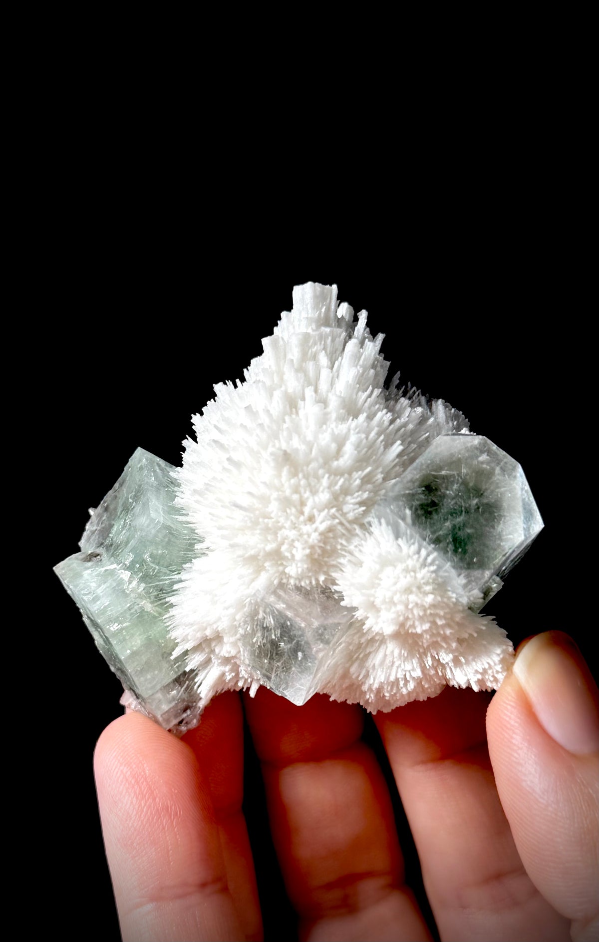 Green Apophyllite and Mordenite S10