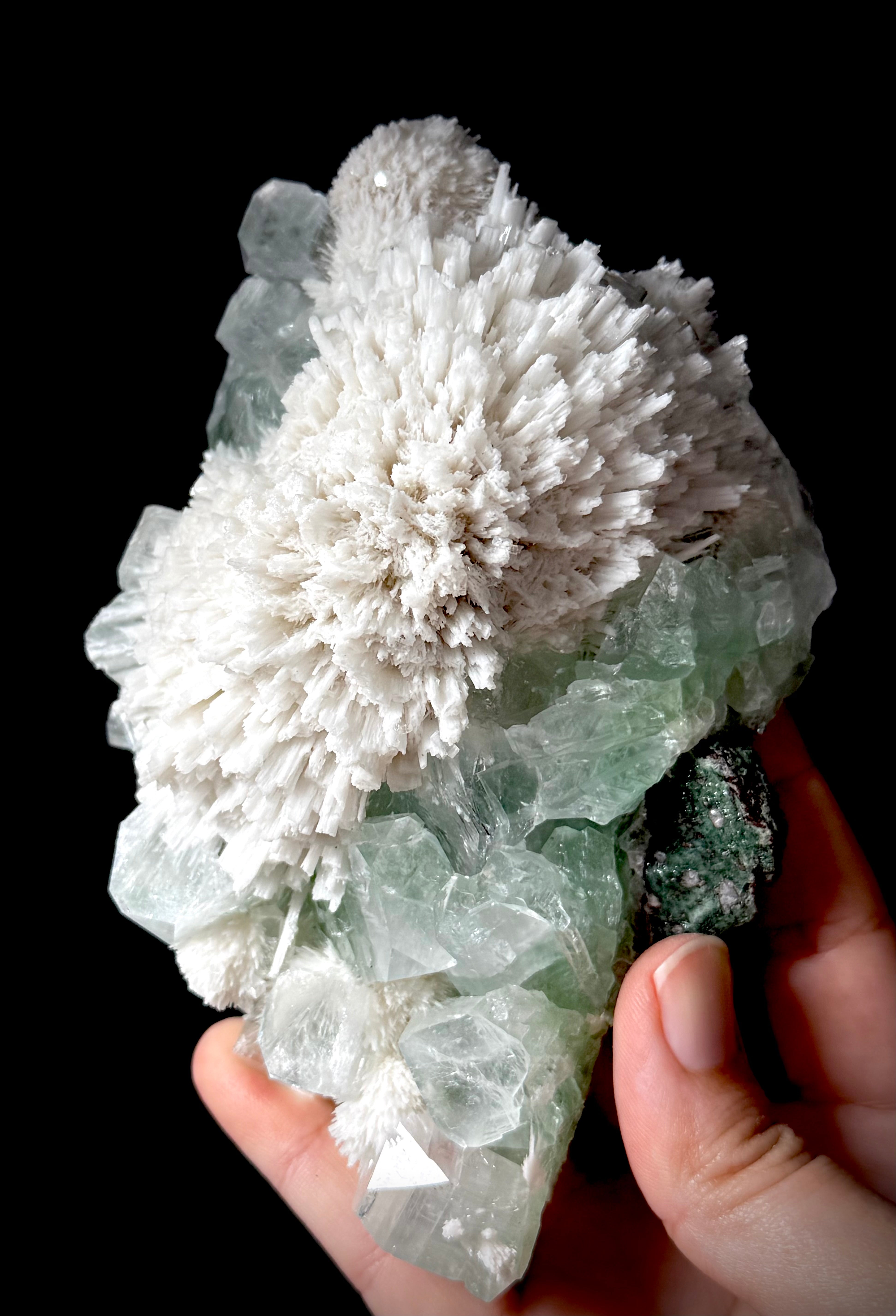 Green Apophyllite and Mordenite S4