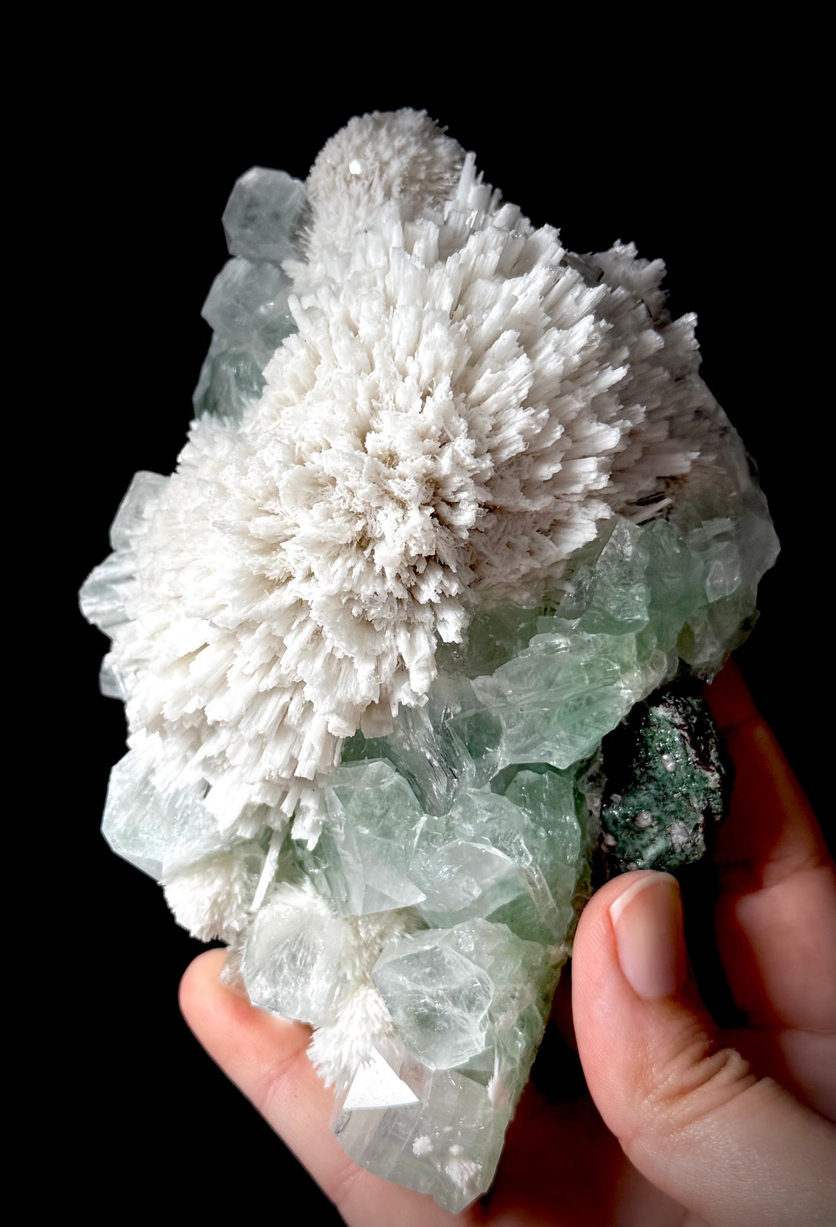 Green Apophyllite and Mordenite S4