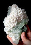 Green Apophyllite and Mordenite S4