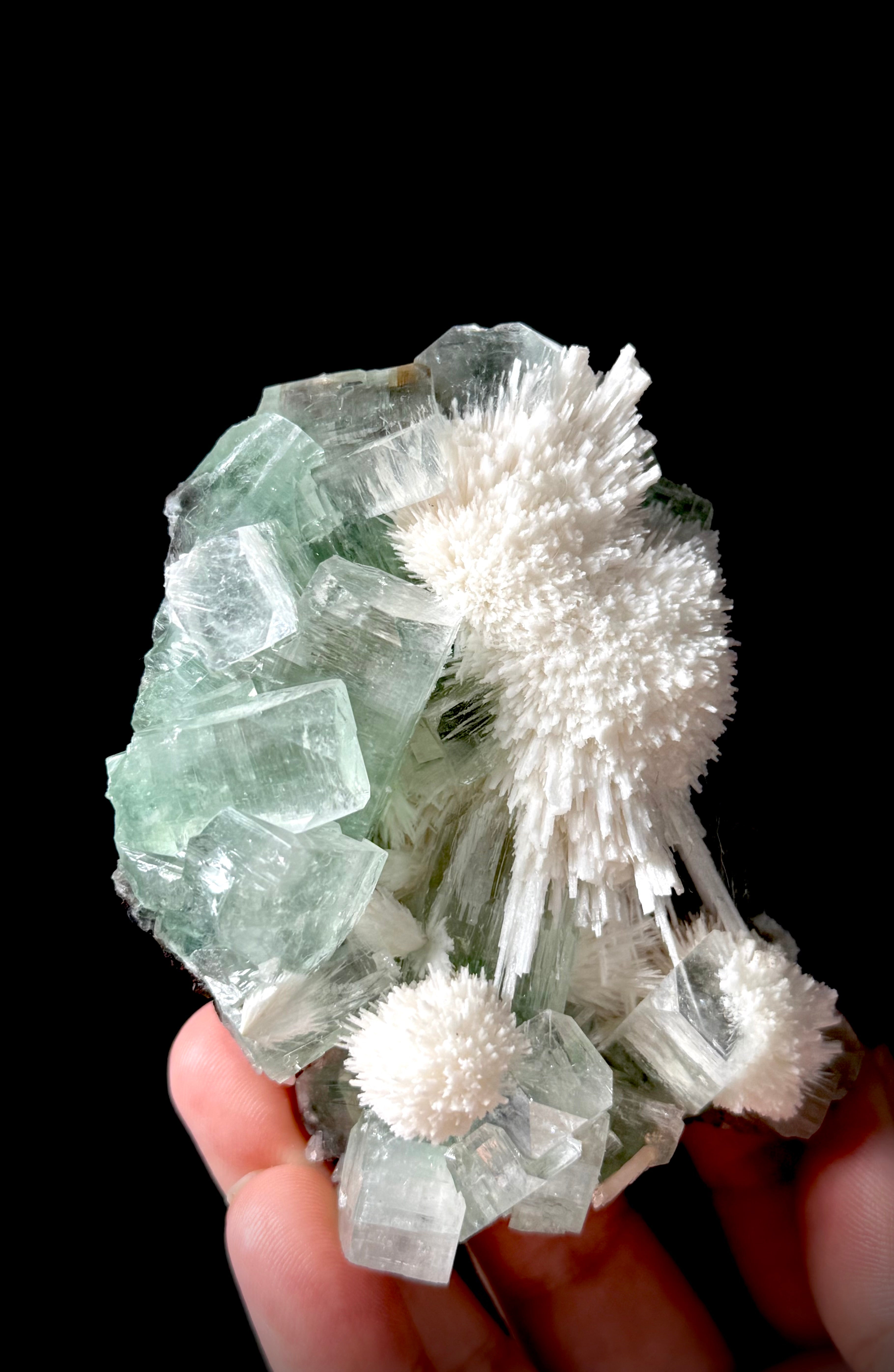 Green Apophyllite and Mordenite S11