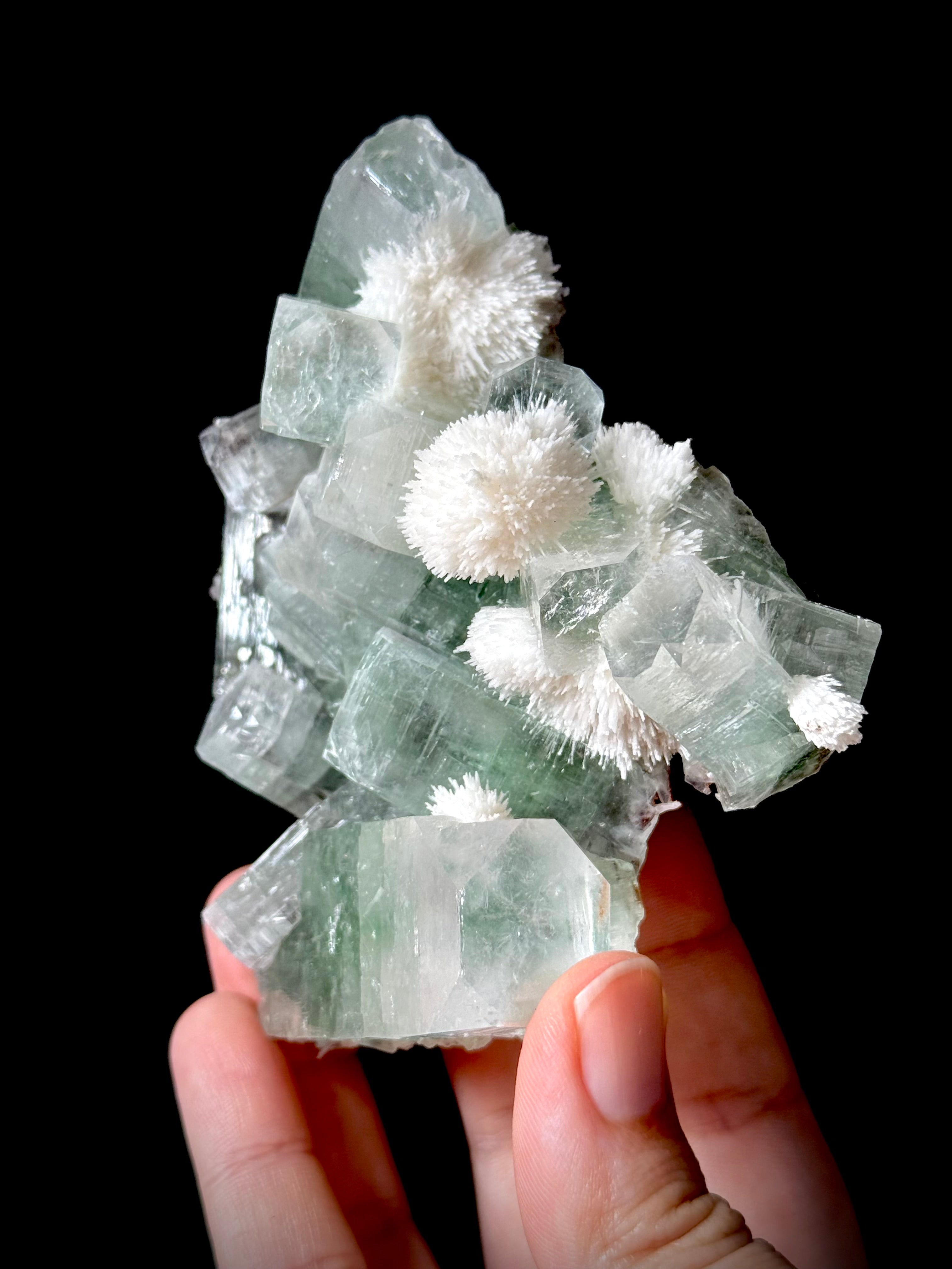 Green Apophyllite and Mordenite S1