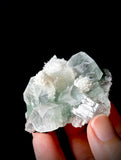 Green Apophyllite and Mordenite S13