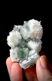 Green Apophyllite and Mordenite S15