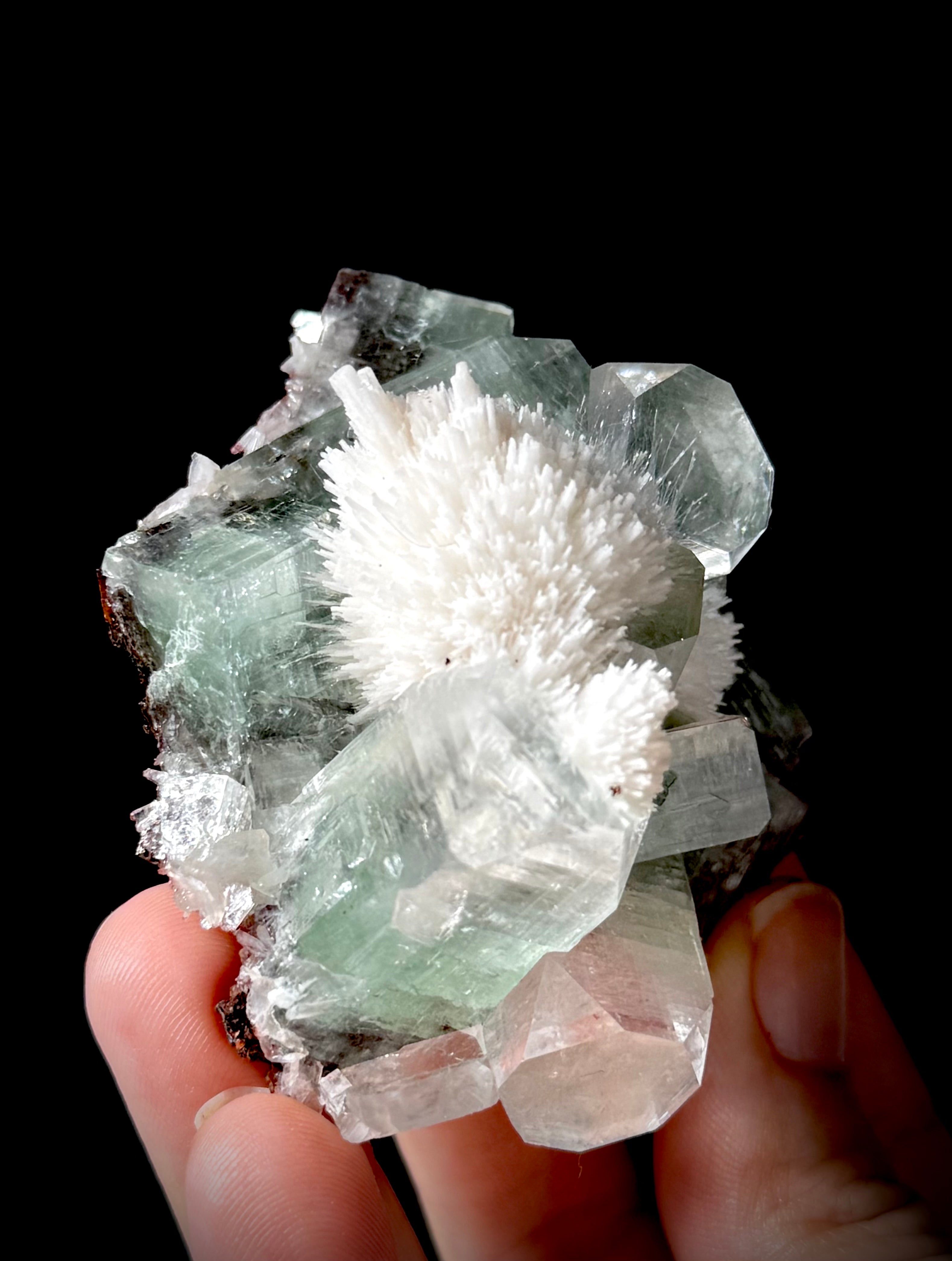 Green Apophyllite and Mordenite S13