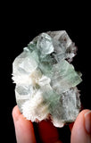 Green Apophyllite and Mordenite S9