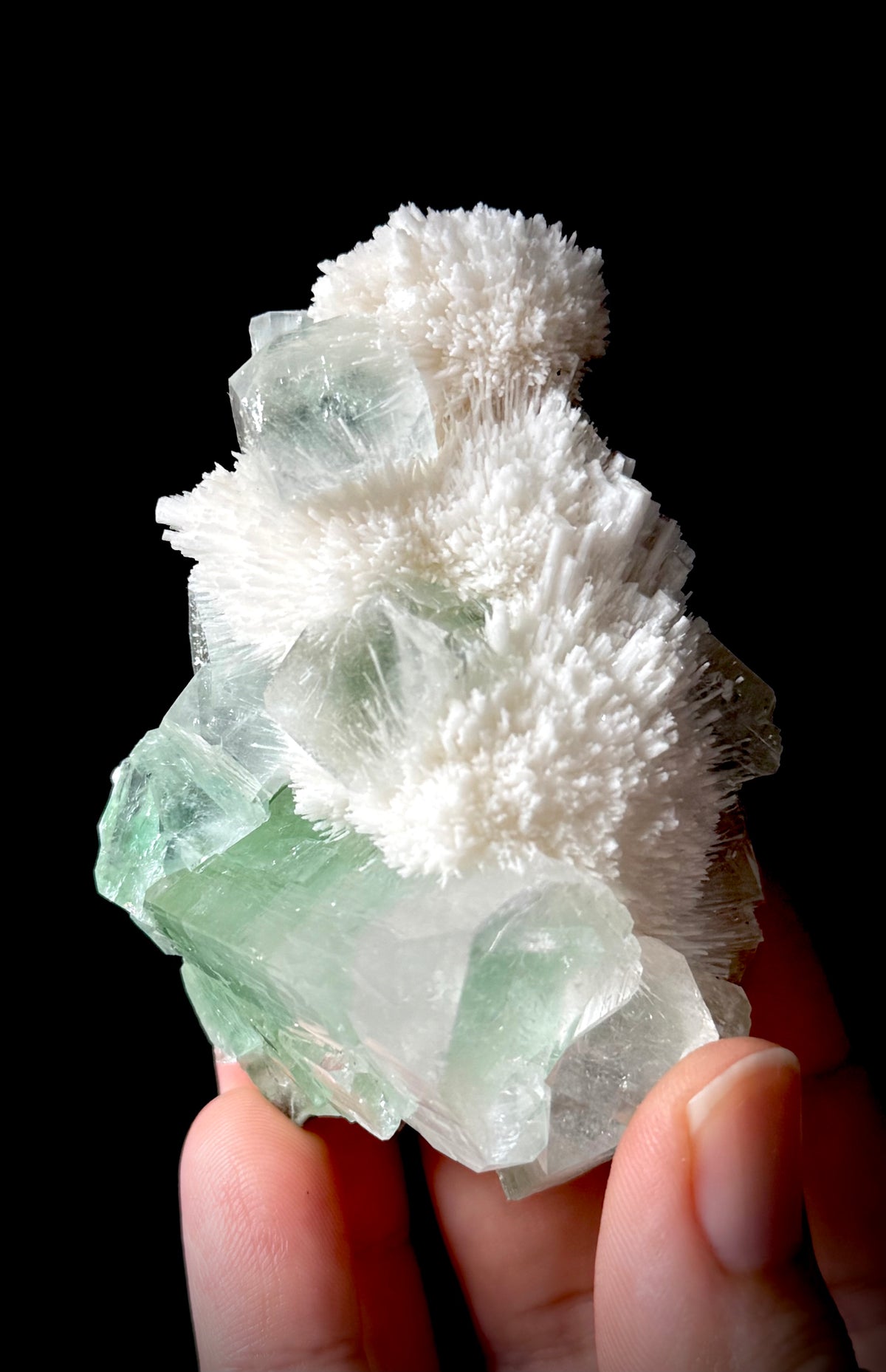 Green Apophyllite and Mordenite S12