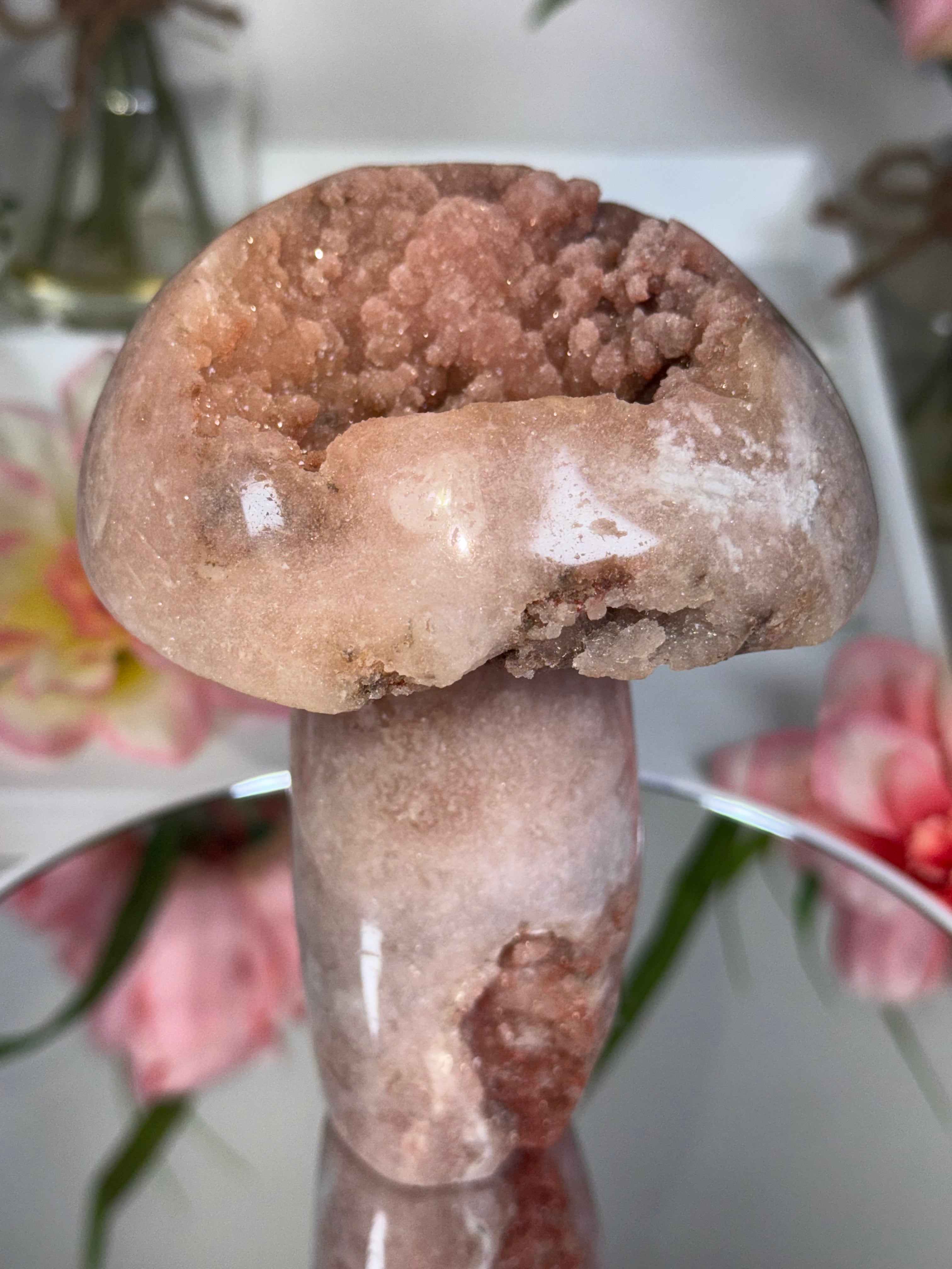 Pink Amethyst Mushroom A10058